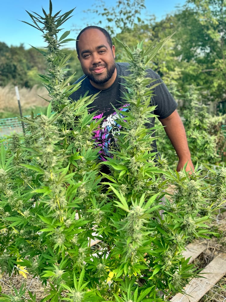 From Dysbiosis to Symbiosis