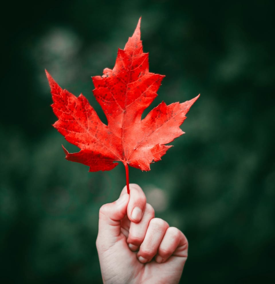 There Goes the Motherhood